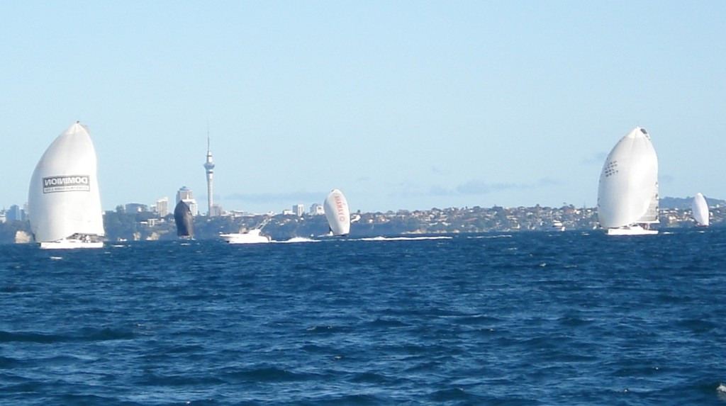 Ran Tan II chases down Wired - Auckland - Denarau, Fiji Race © Colin Preston